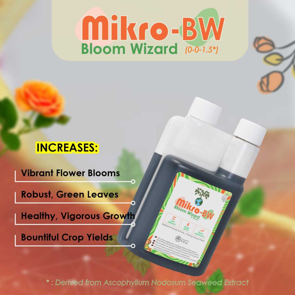 Mikrobs Bloom Wizard 1