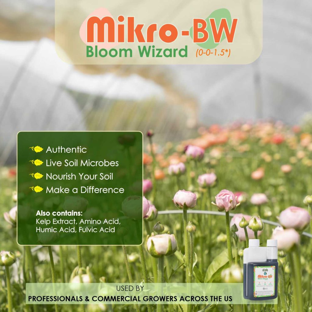 Mikrobs Bloom Wizard 7